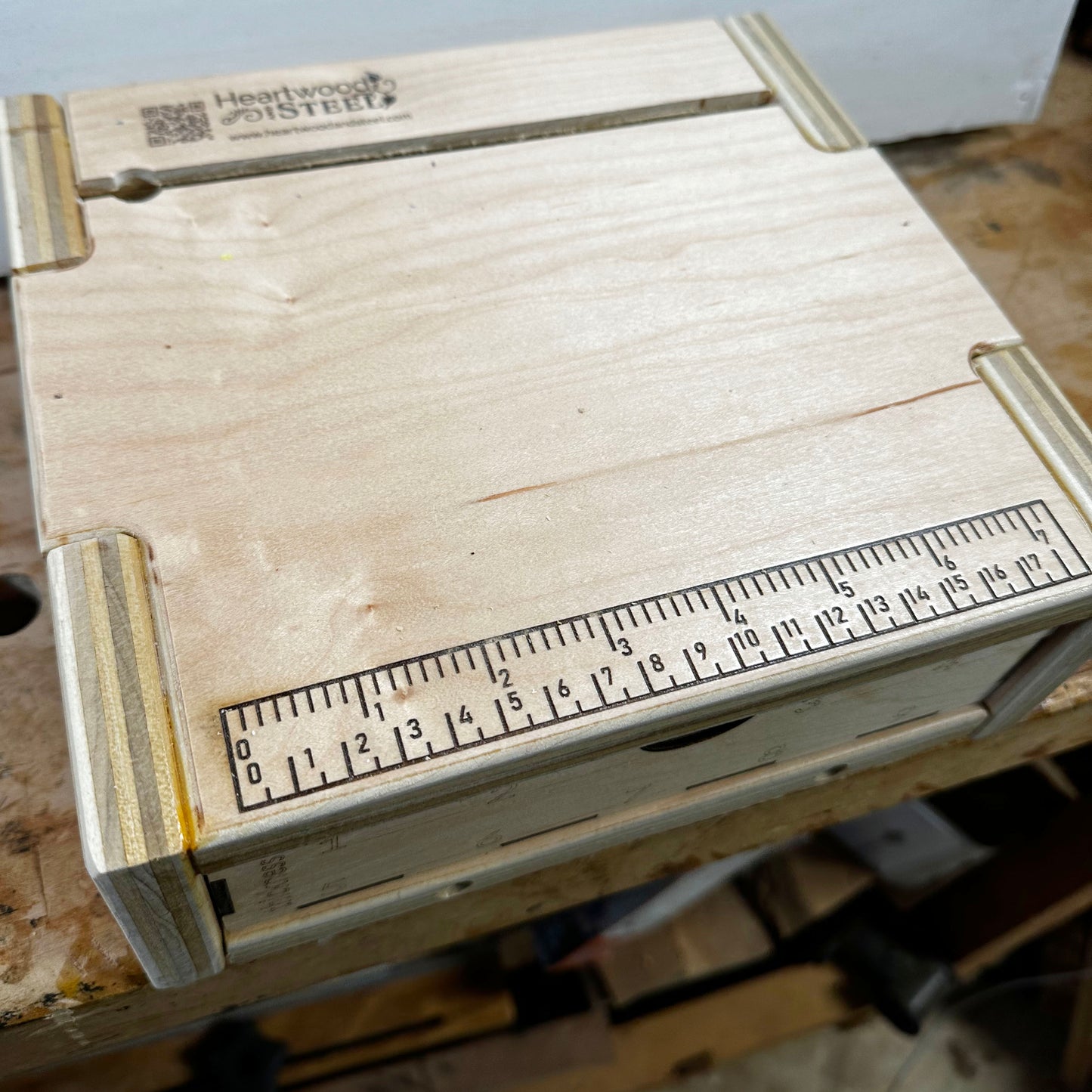 A view of the pasta machine machine base, looking down from above.